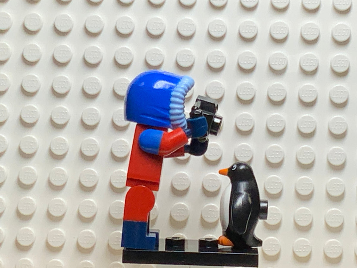 Wildlife Photographer, col16-7