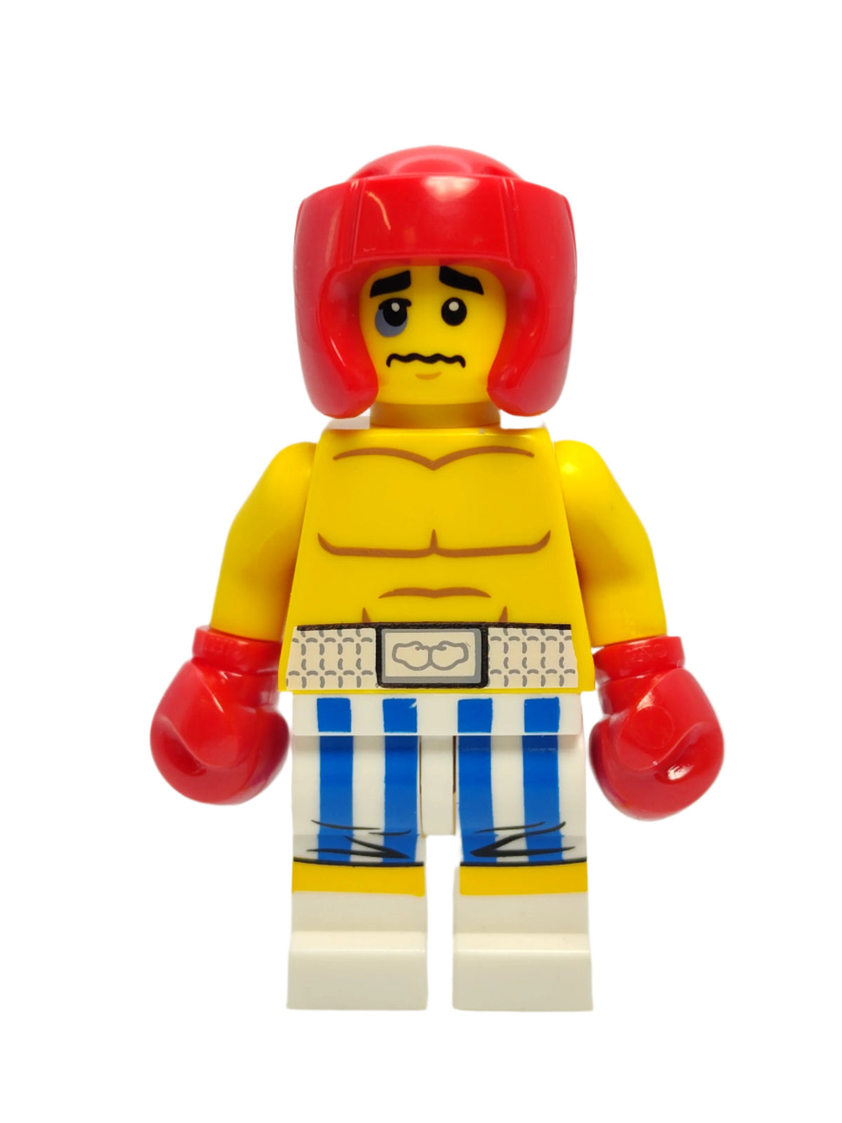 Boxer with Black Eye, col304