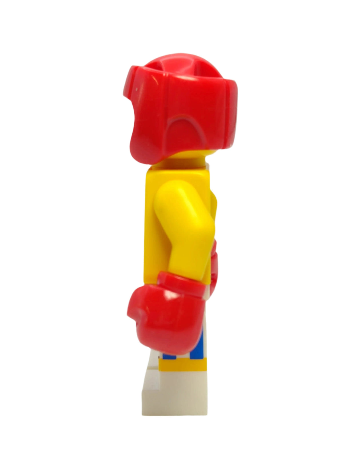 Boxer with Black Eye, col304