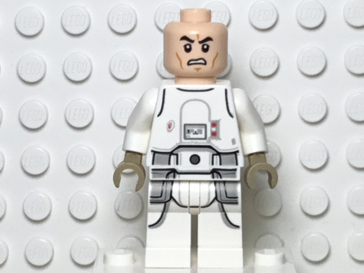 Snowtrooper, sw1009