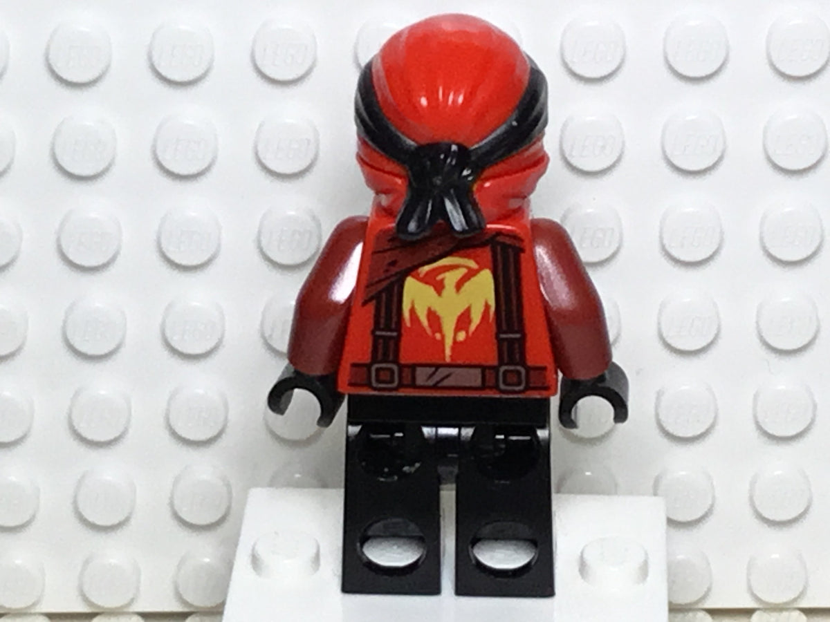 Kai (Dragon Masters), njo0452 - LEGO® Ninjago Minifigure