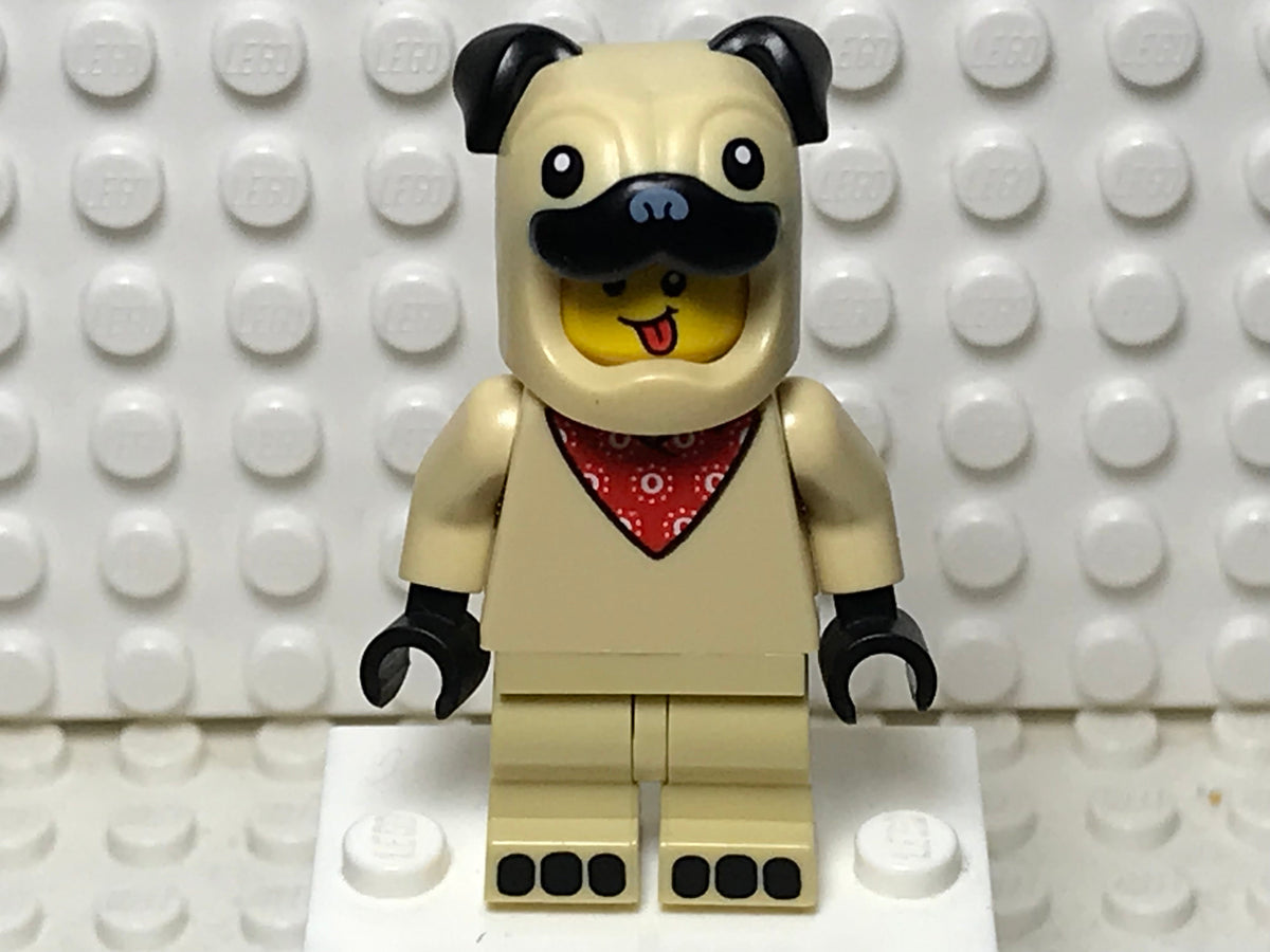 Pug Costume Guy, col21-5