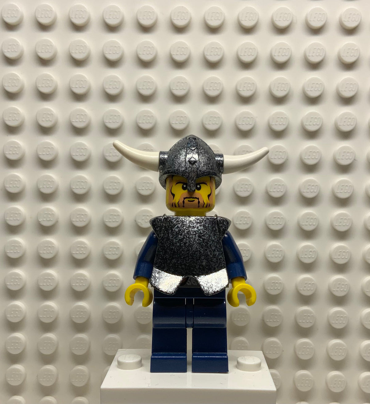 Viking Warrior 1d, vik001