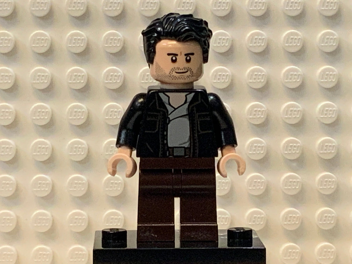 Poe Dameron, sw0868