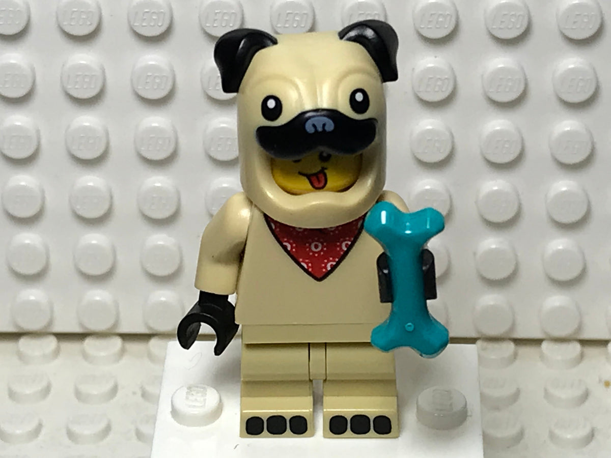 Pug Costume Guy, col21-5