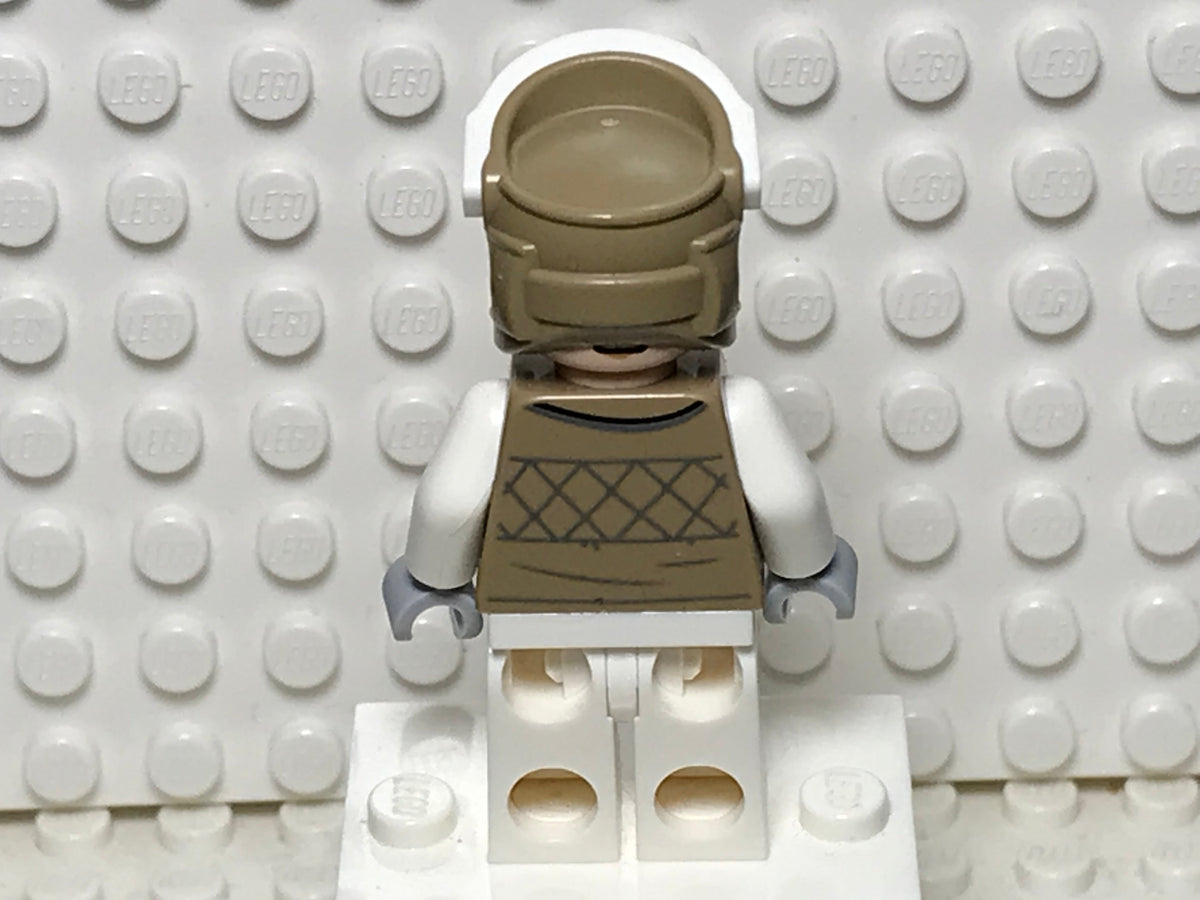 Hoth Rebel Trooper, sw1187