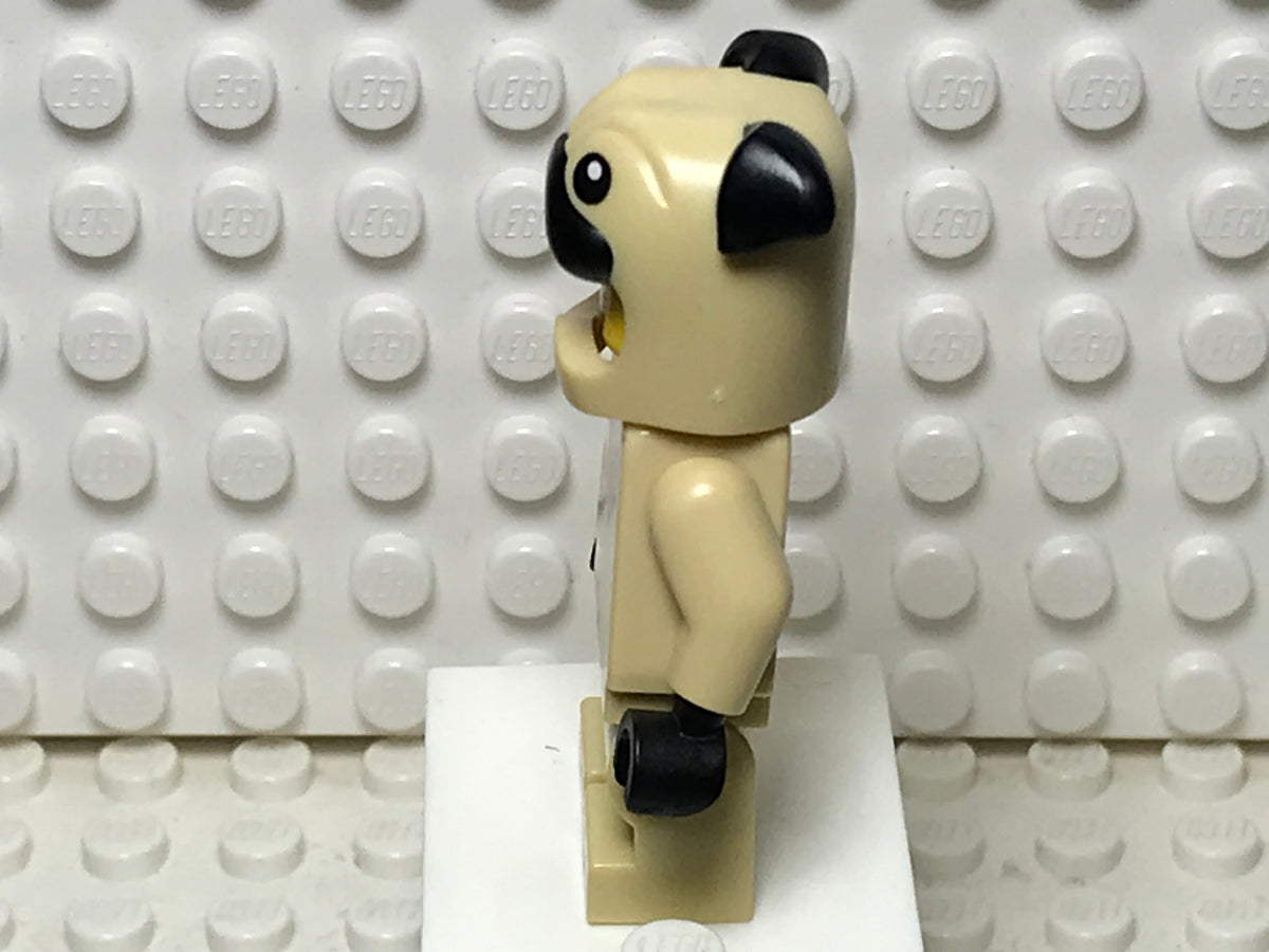 Pug Costume Guy, col21-5