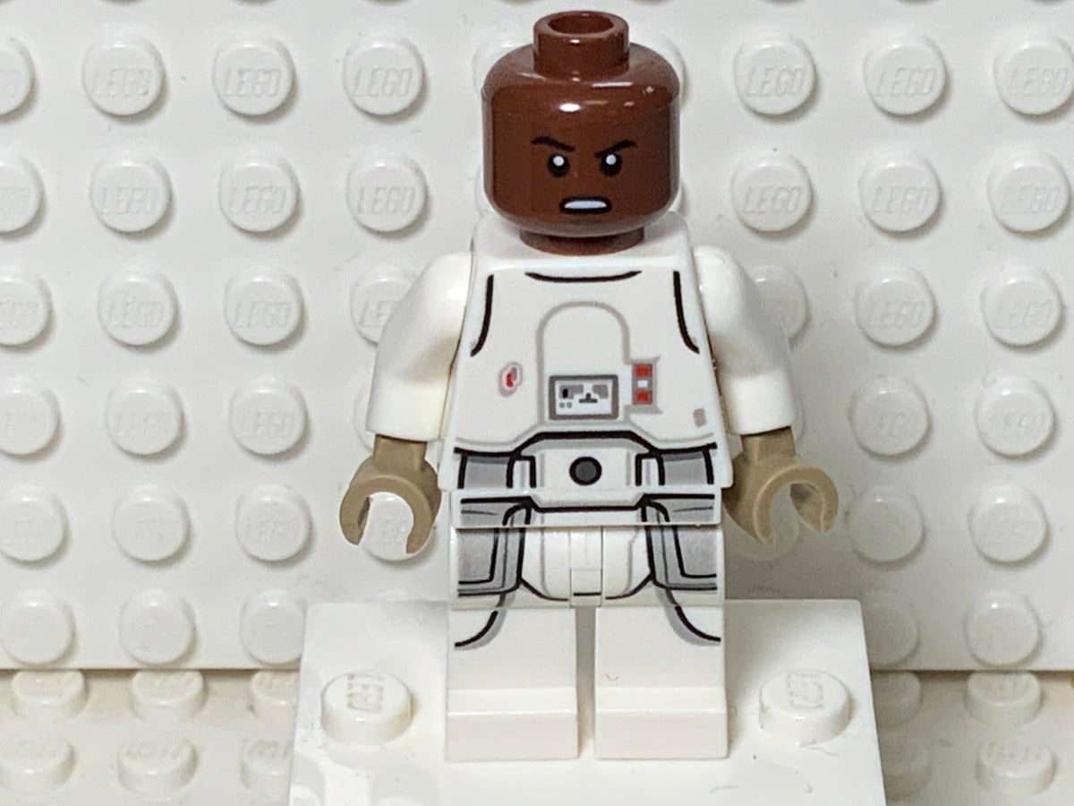 Snowtrooper, sw1179