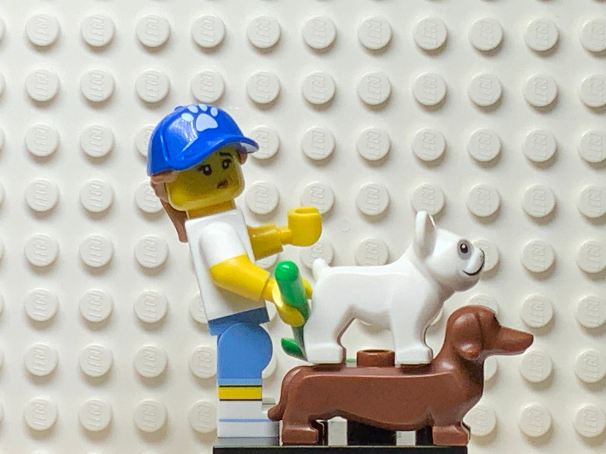 Dog Sitter, col19-9