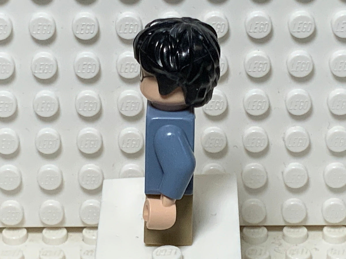Harry Potter, hp256, LEGO® Harry Potter™ Minifigure
