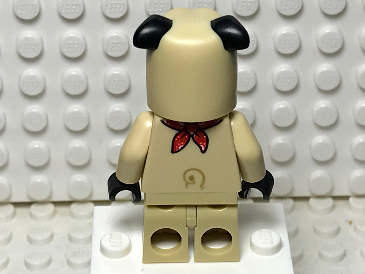 Pug Costume Guy, col21-5