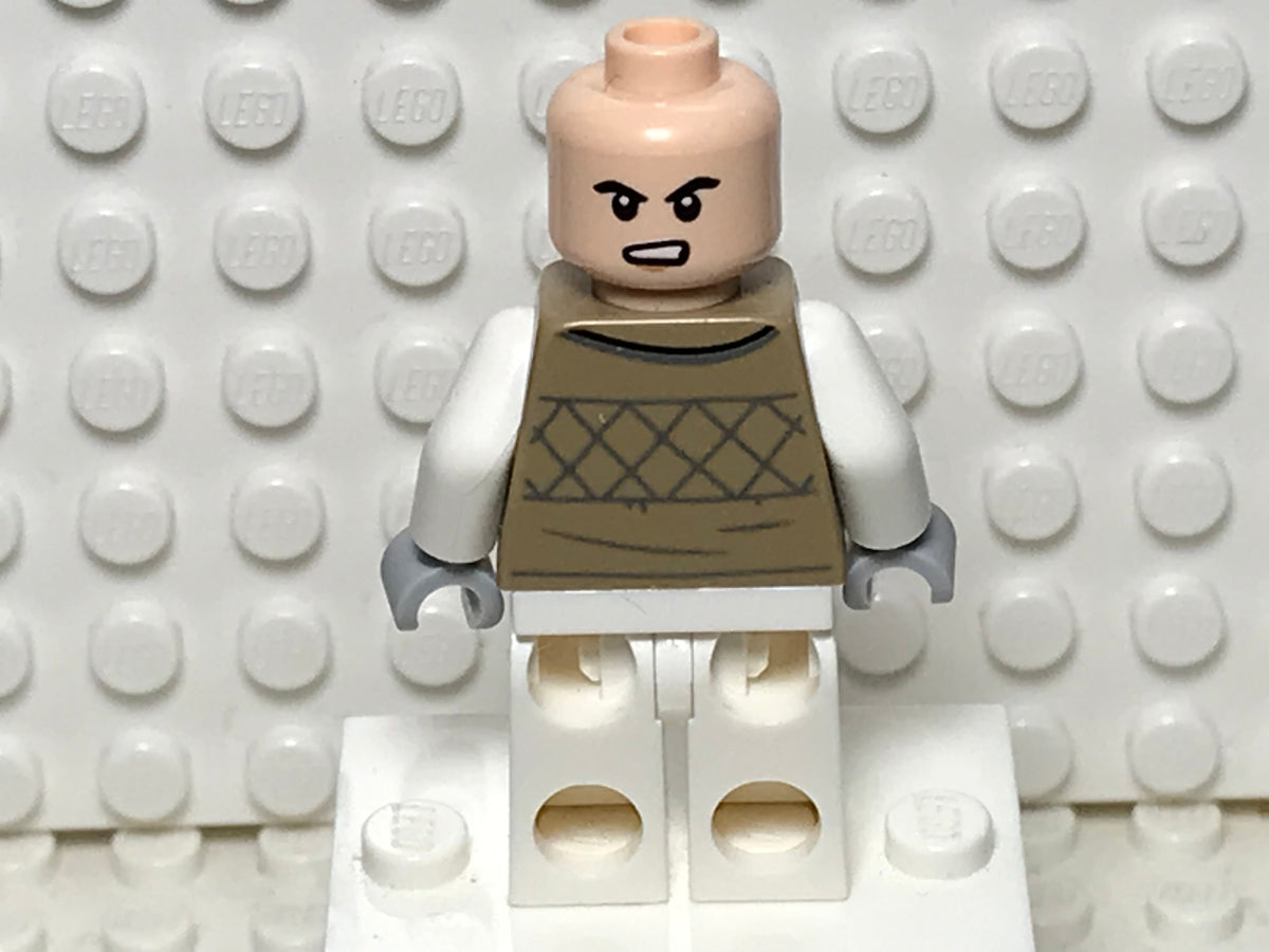 Hoth Rebel Trooper, sw1187