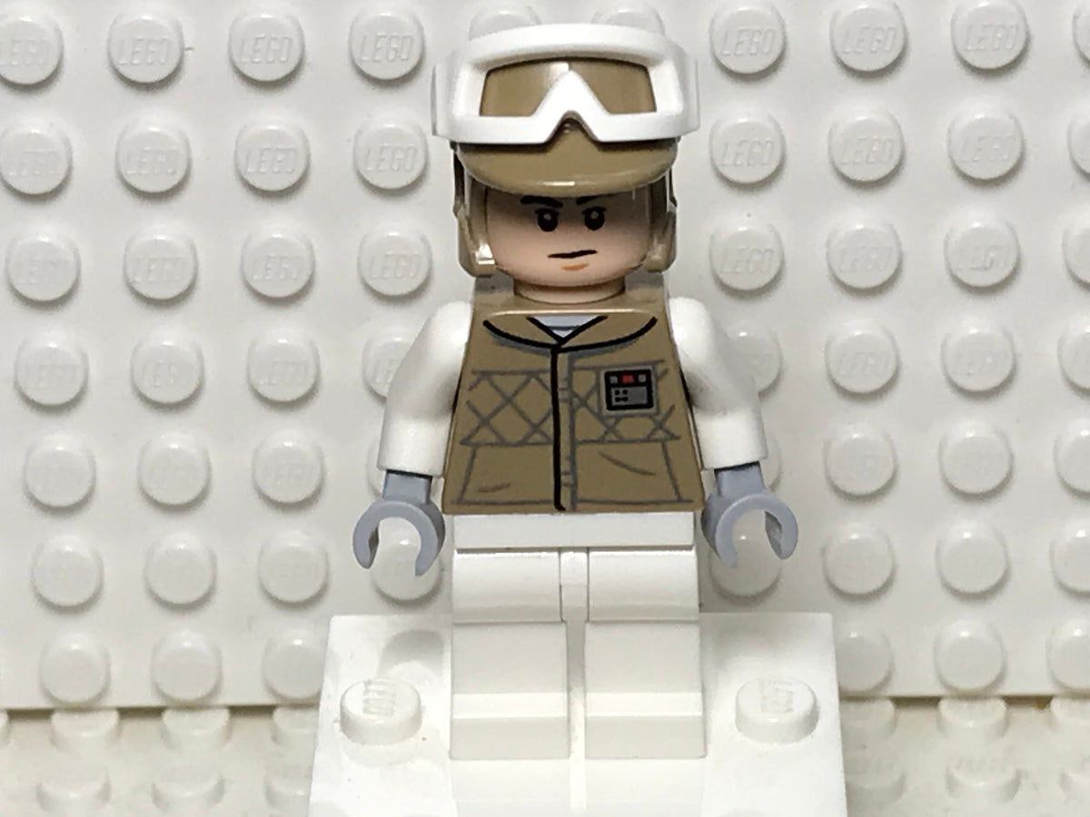 Hoth Rebel Trooper, sw1187