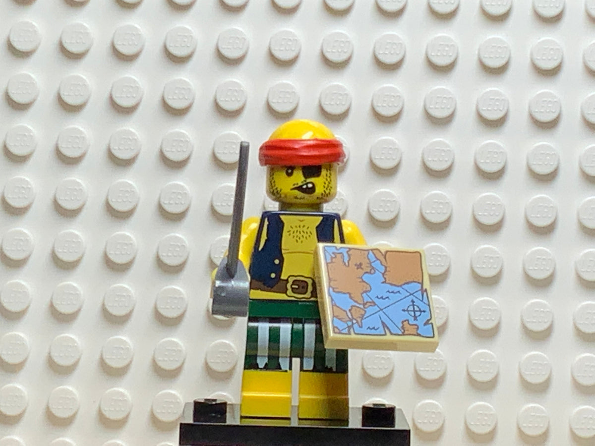 Scallywag Pirate, col16-9