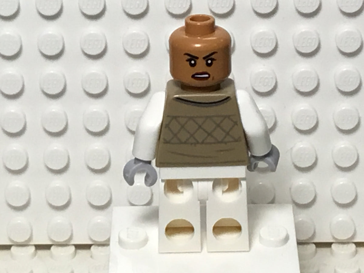 Hoth Rebel Trooper, sw1185
