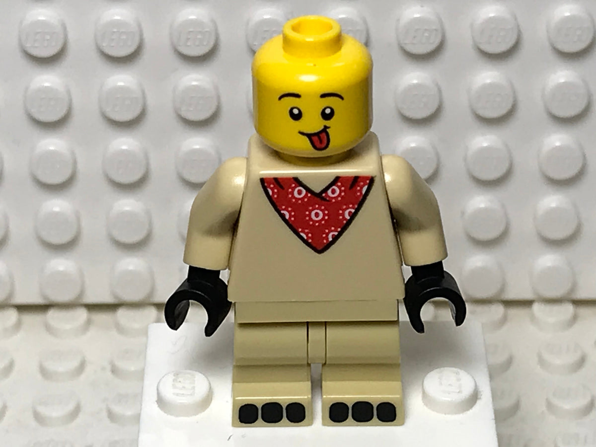 Pug Costume Guy, col21-5