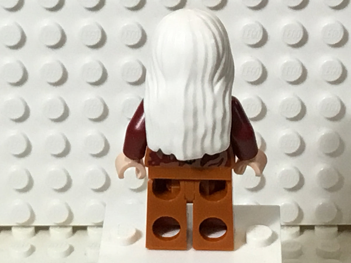 Albus Dumbledore, hp313